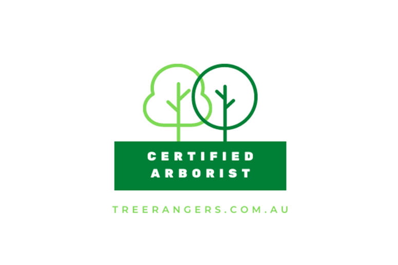 CERTIFIED ARBORIST