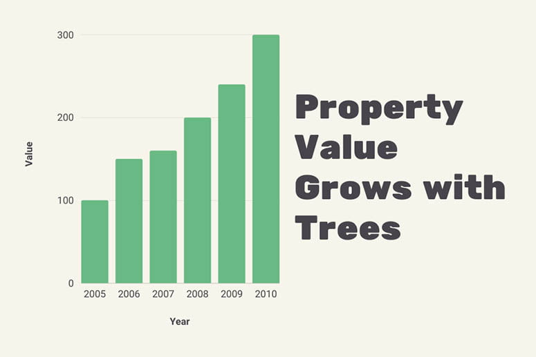 Property value grows with trees