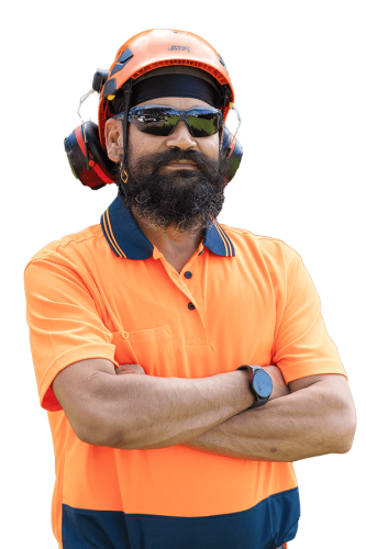 Tree Felling | Tree Rangers